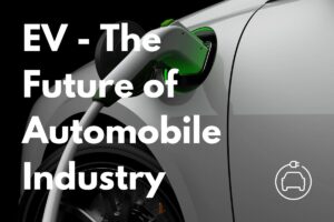 Read more about the article EVs Are The Future of Automobile Industry