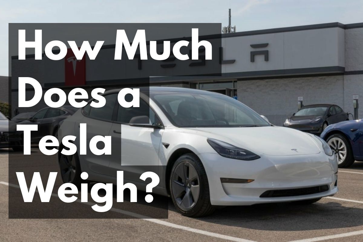 Read more about the article How Much Does a Tesla Weigh: Uncovering the Weight of Tesla Vehicles